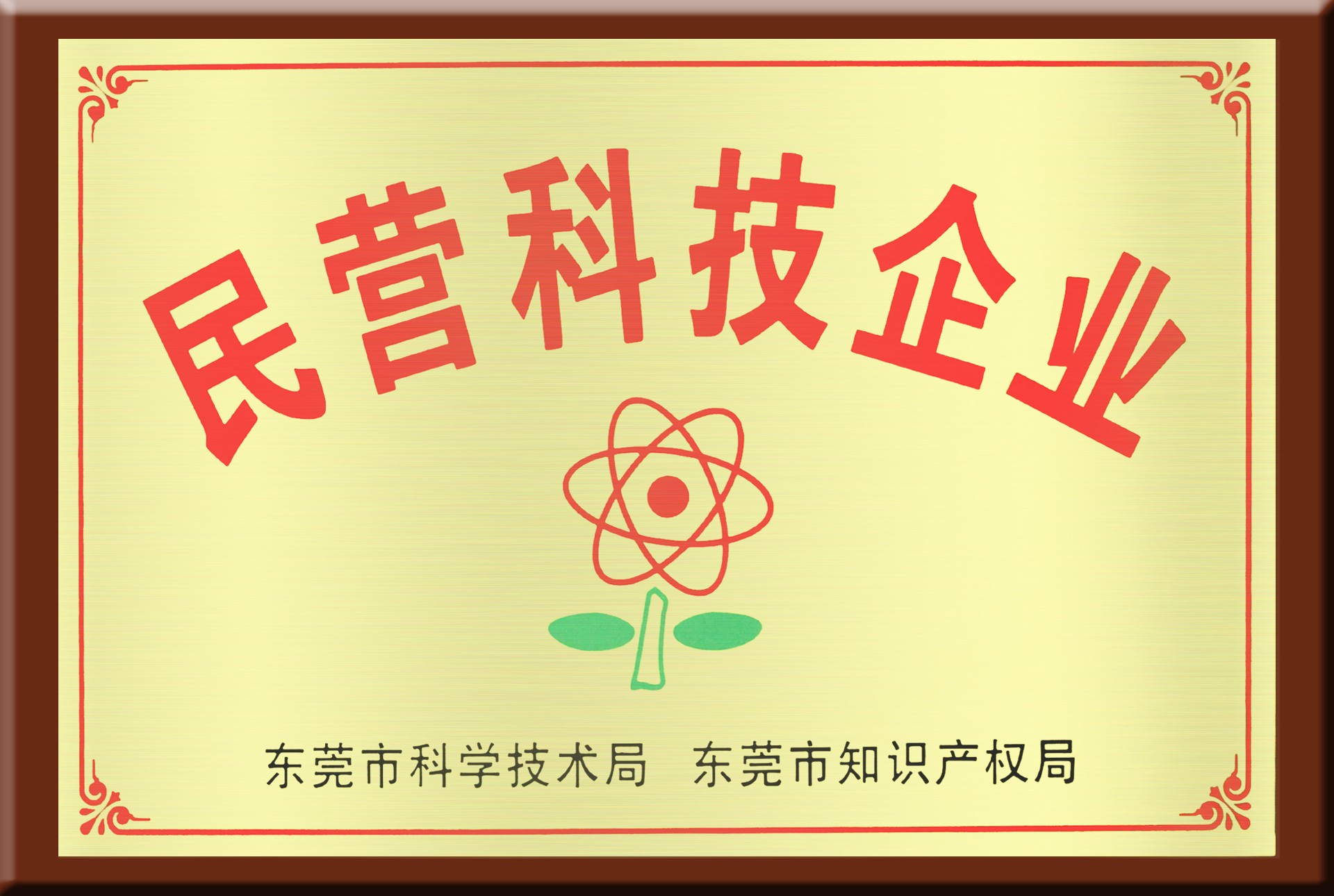 民營(yíng)科技企業(yè)